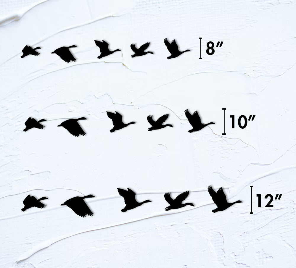 Flock Of Geese