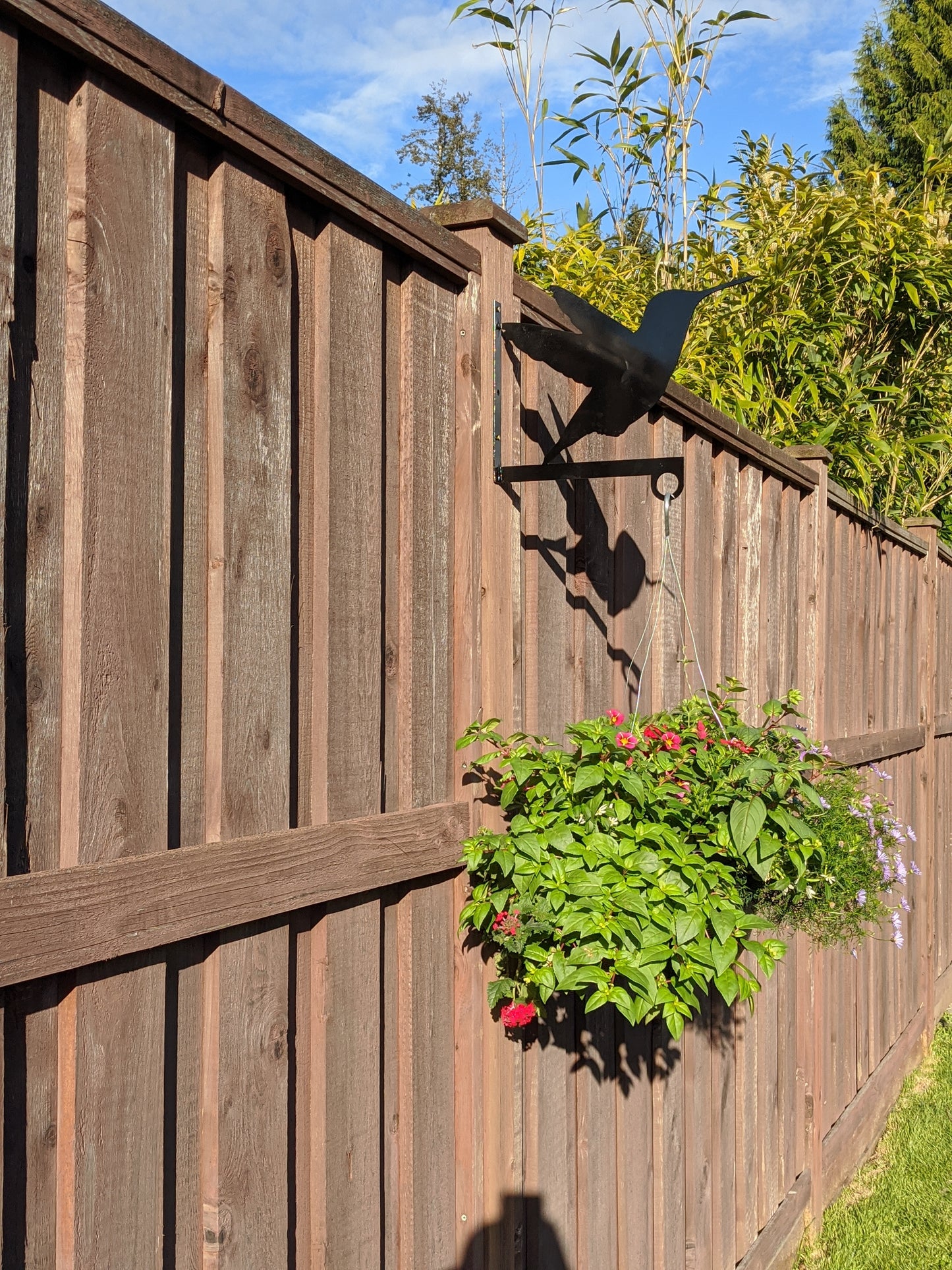 Humming Bird Flower Basket Hanger