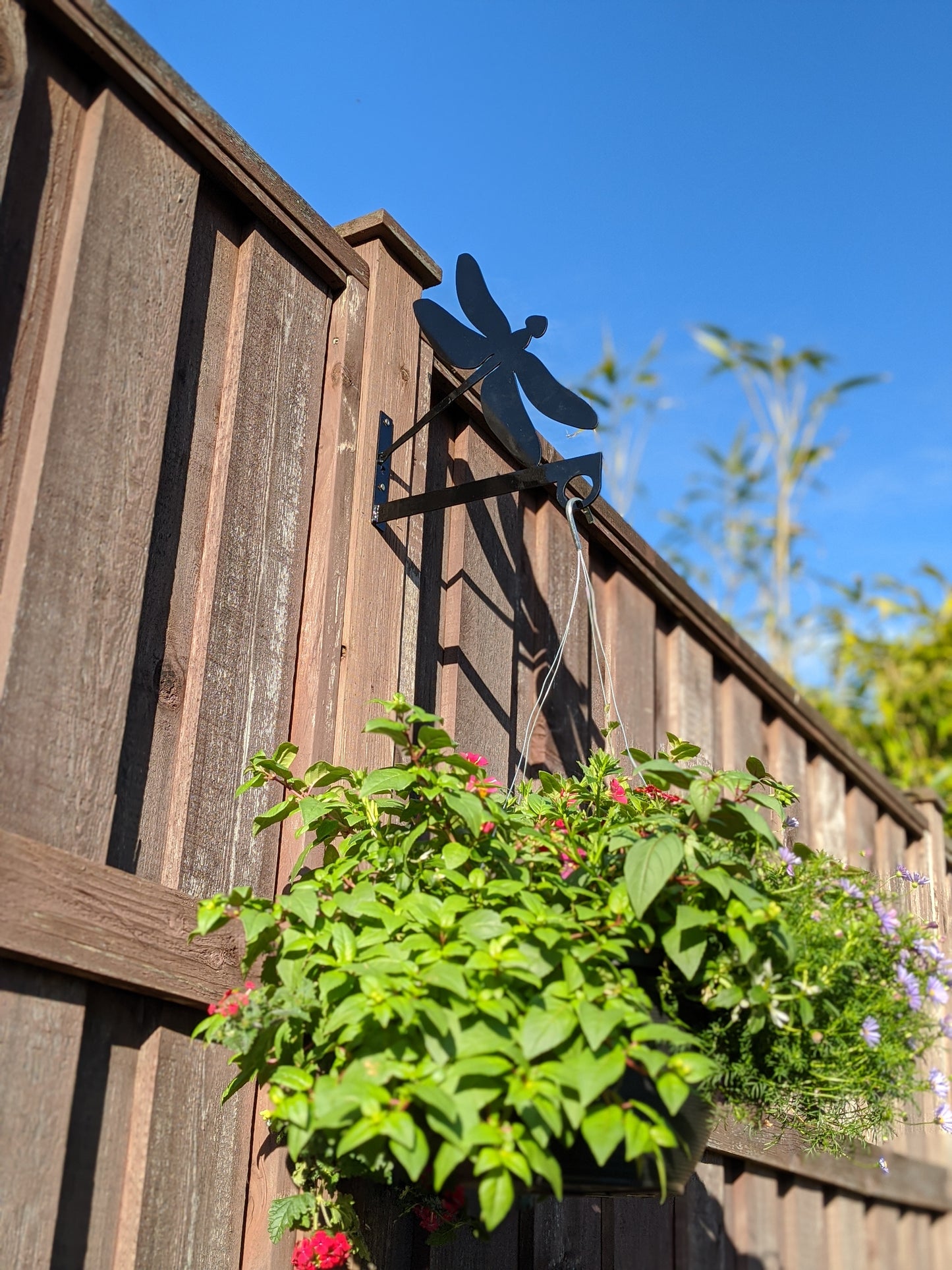 Dragon Fly Flower Basket Hanger