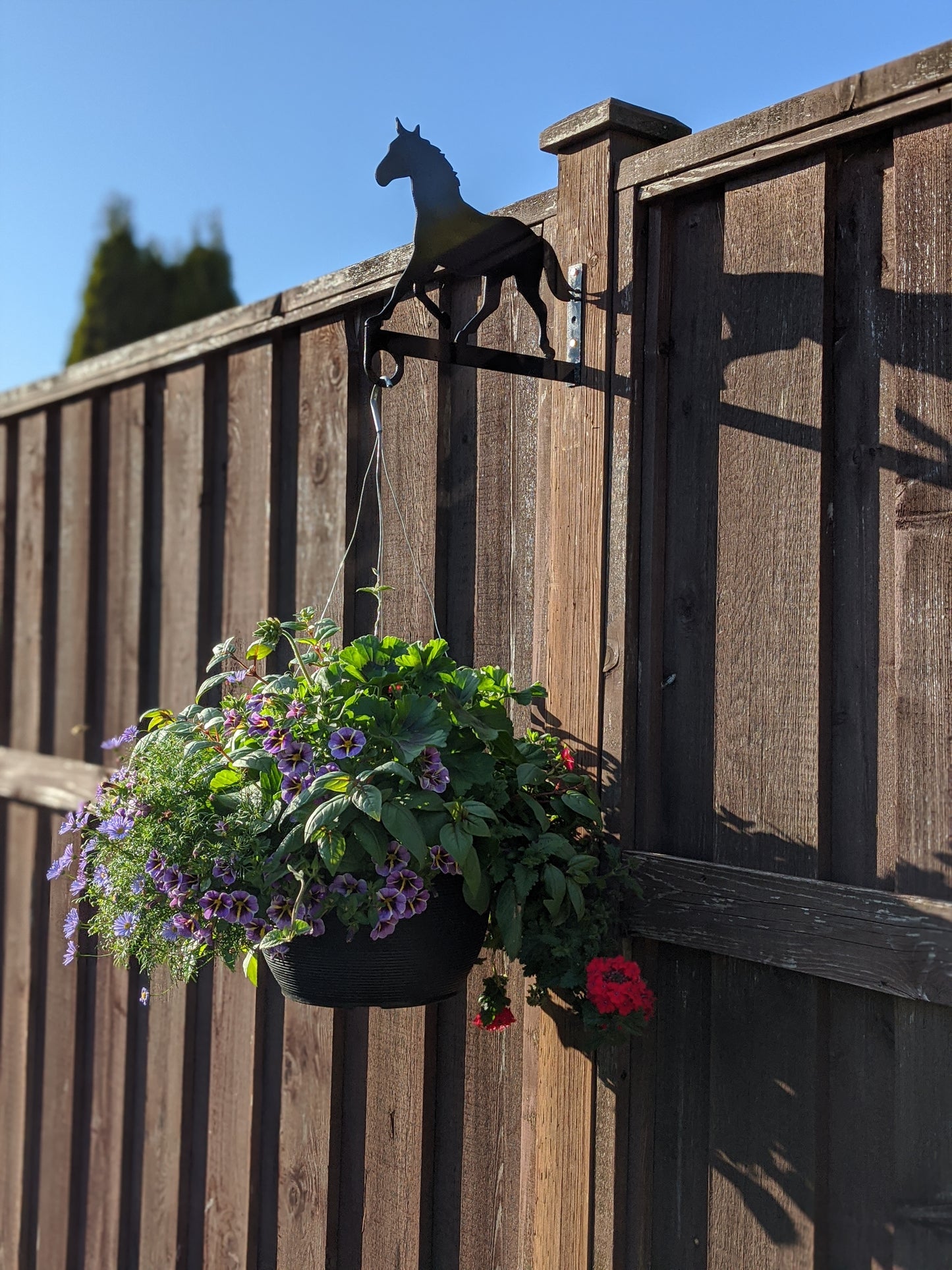 Horse Flower Basket Hanger