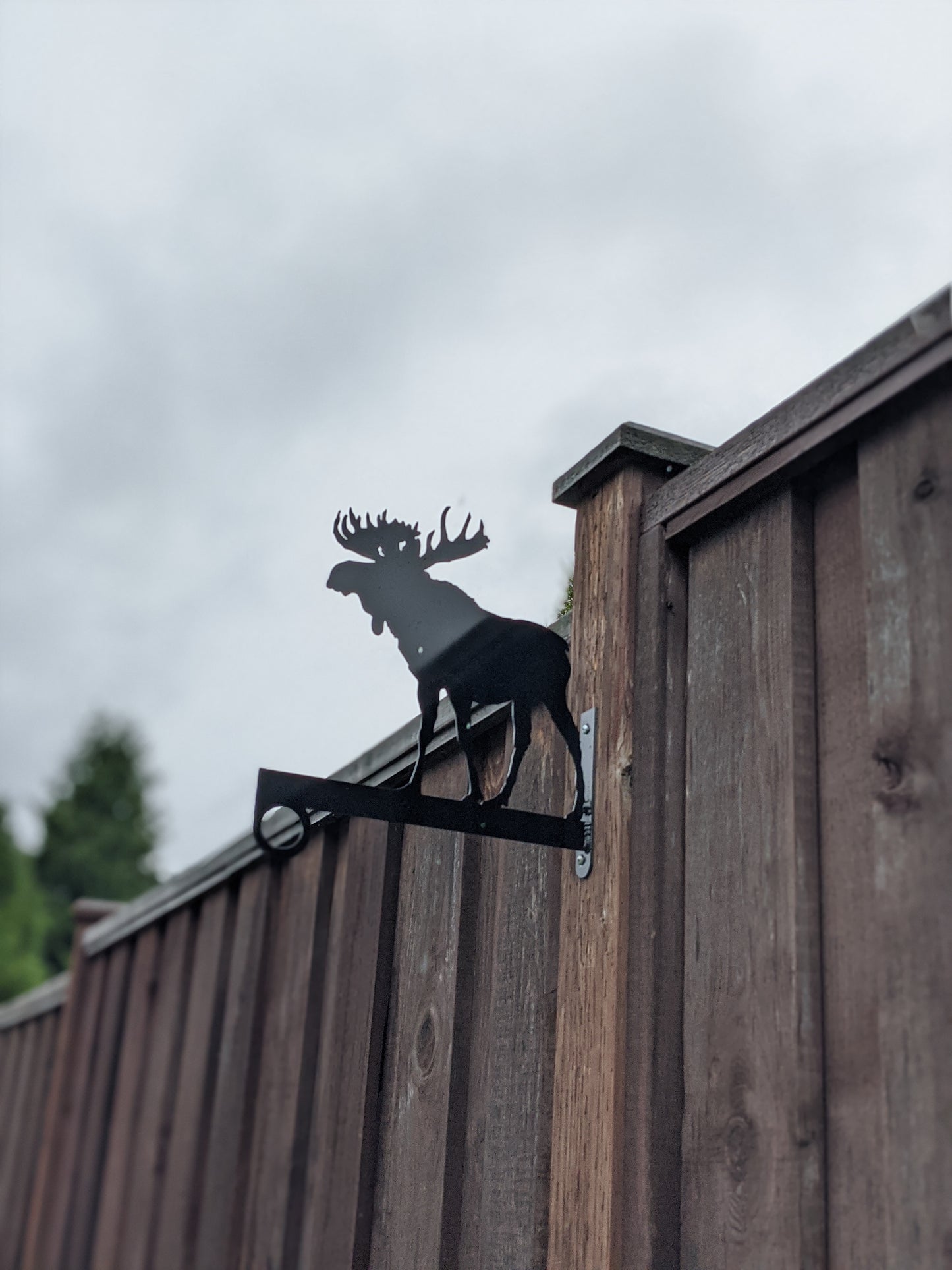Moose Flower Basket Hanger