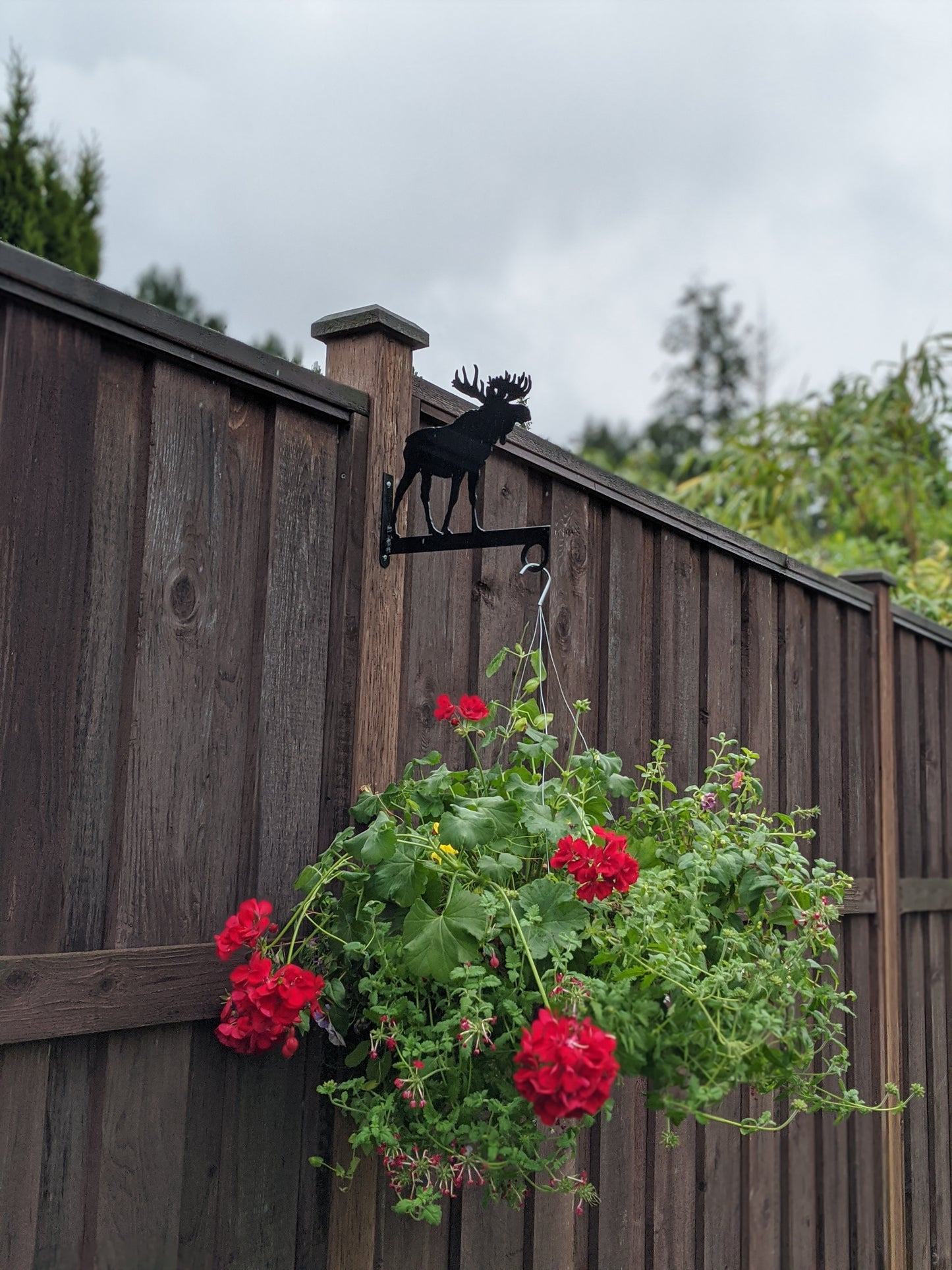 Moose Flower Basket Hanger