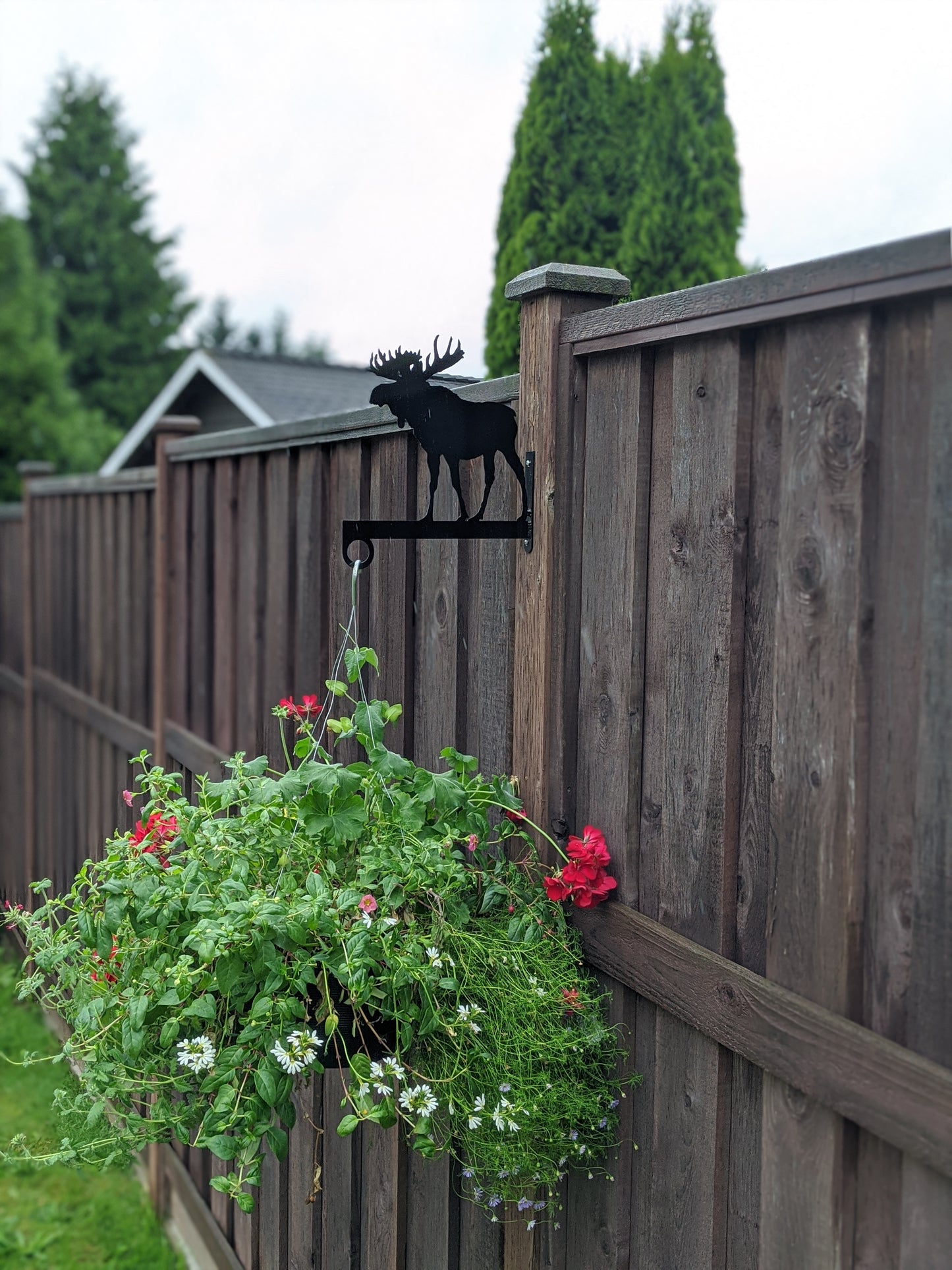 Moose Flower Basket Hanger