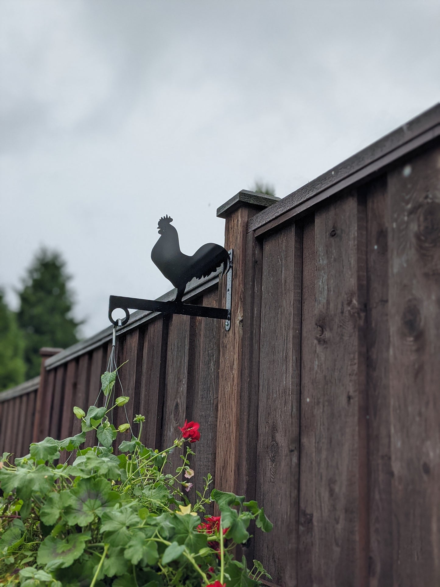 Rooster Flower Basket Hanger