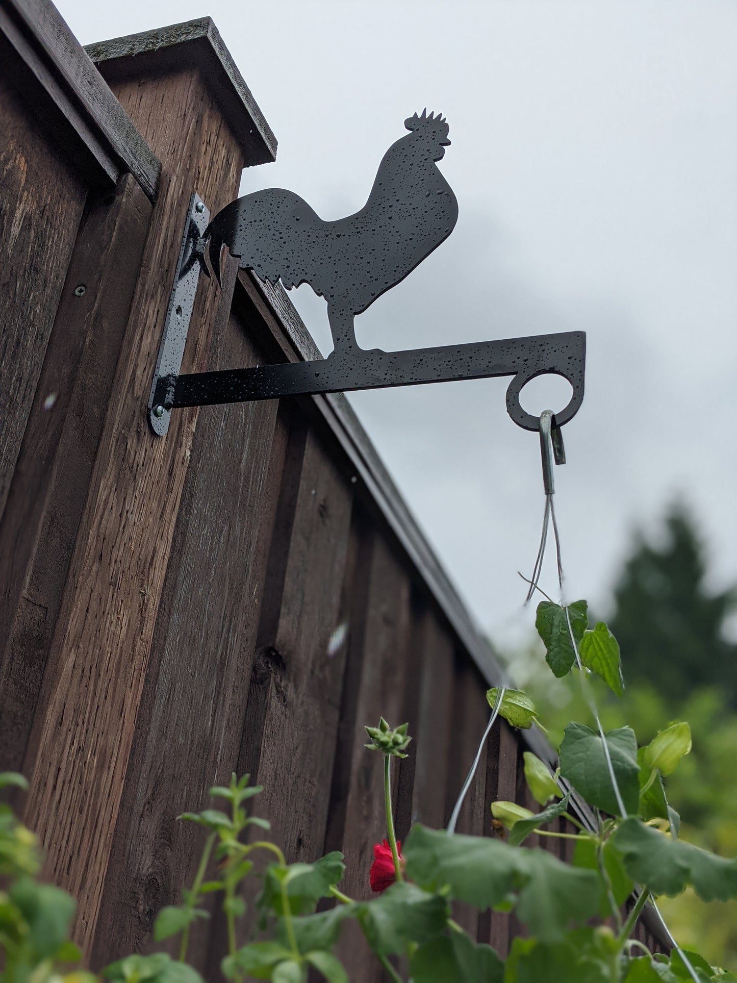 Rooster Flower Basket Hanger