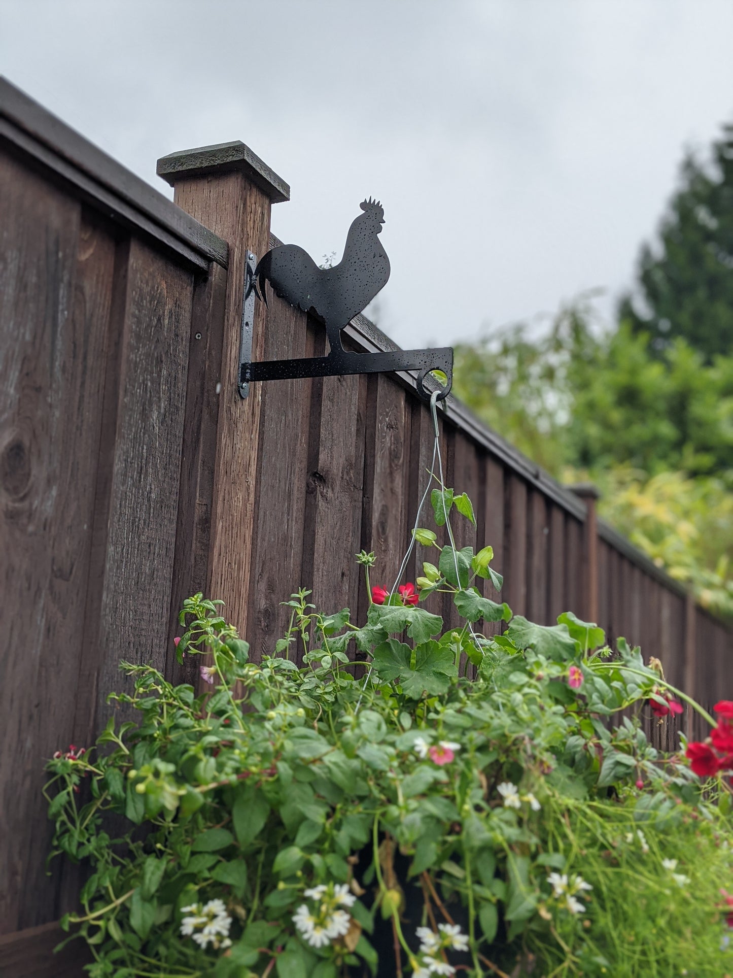 Rooster Flower Basket Hanger