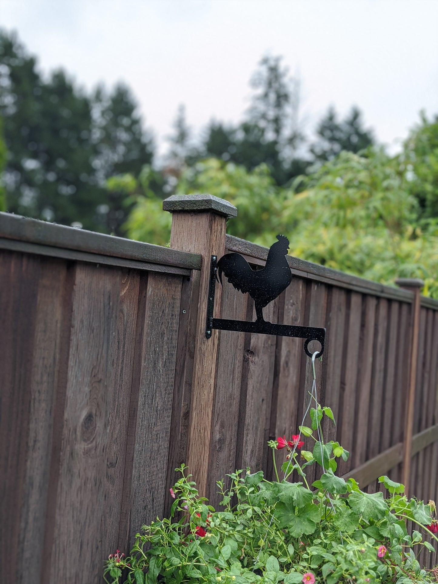 Rooster Flower Basket Hanger