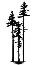 Load image into Gallery viewer, A Grouping of Pine Trees