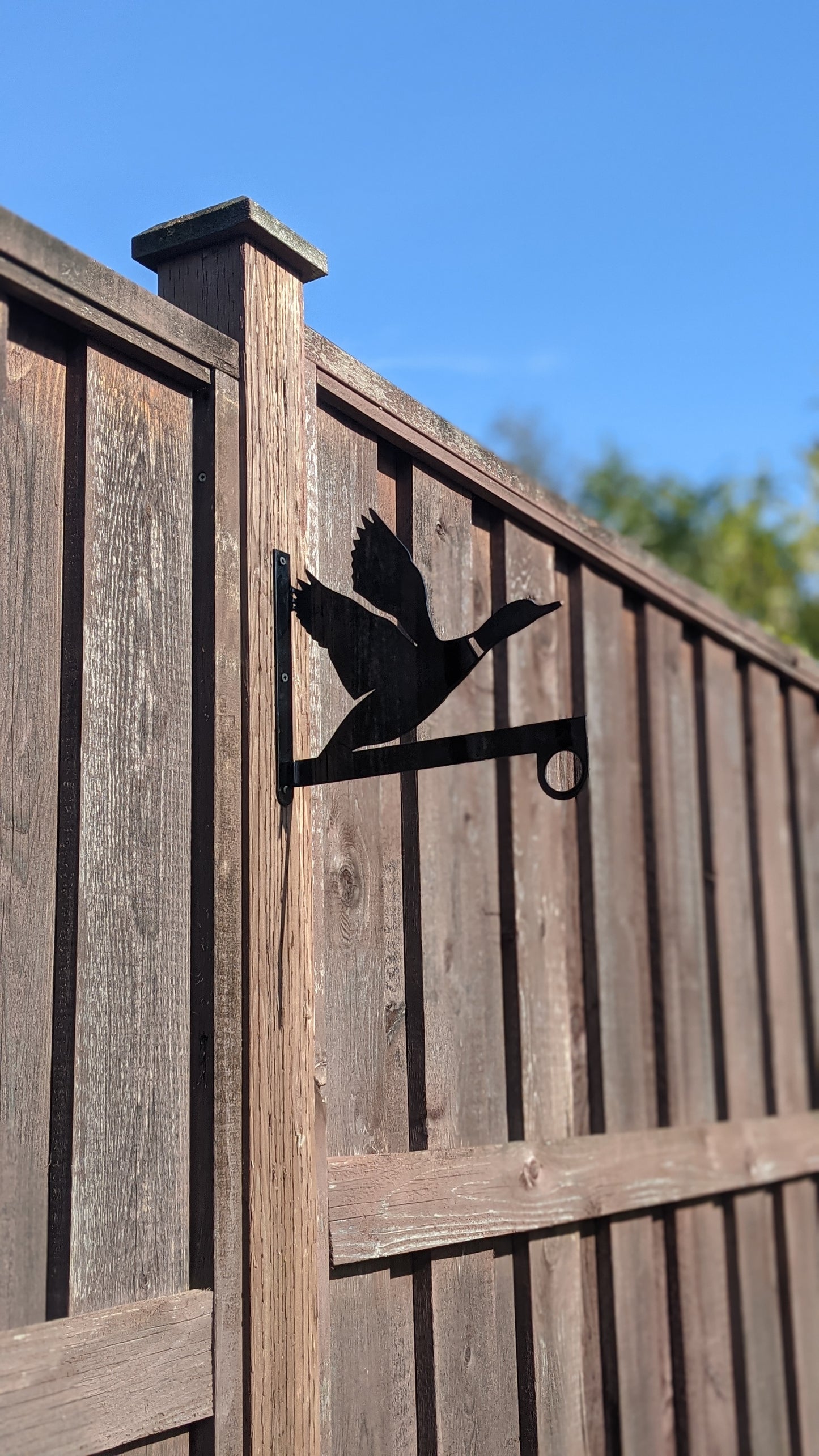 Loon Flower Basket Hanger