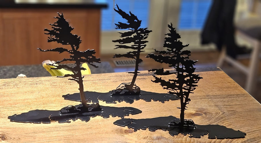 A custom order for Vancouver Island Wind Swept Pine Trees