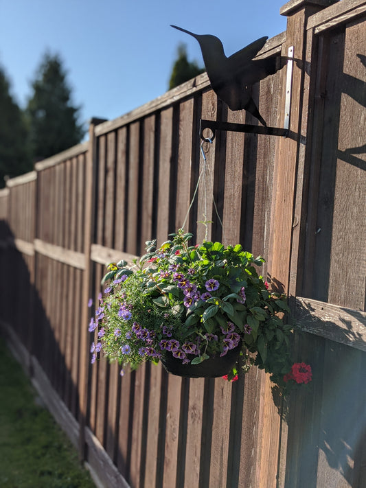 Humming Bird Flower Basket Hanger