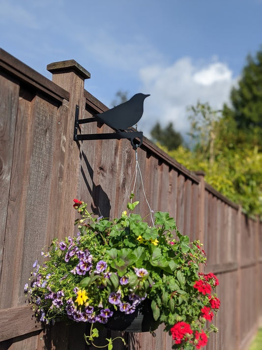 Robin Flower Basket Hanger
