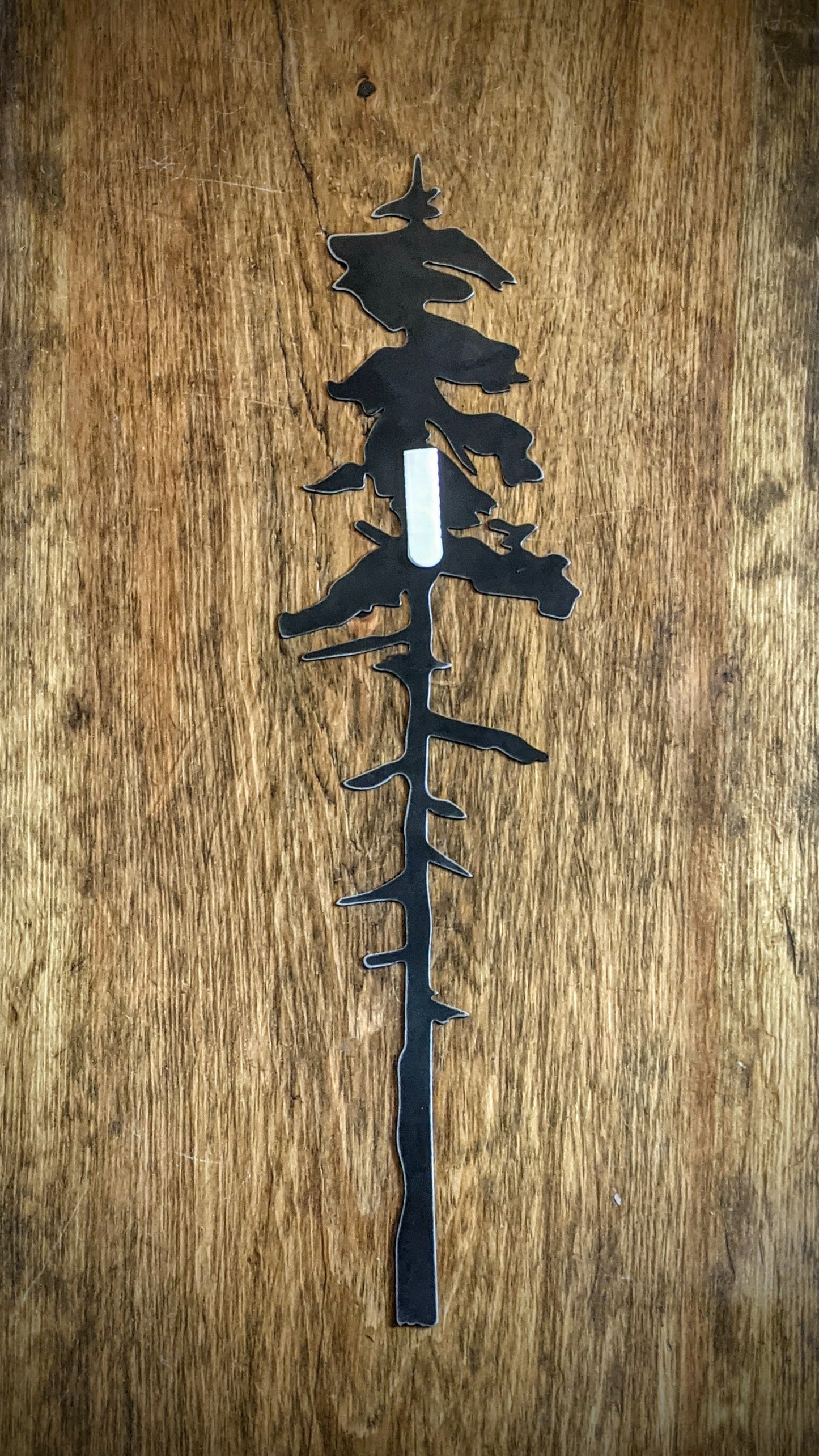 A Tall Old Growth Metal Evergreen Tree