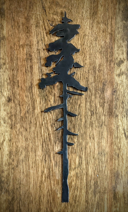 A Tall Old Growth Metal Evergreen Tree