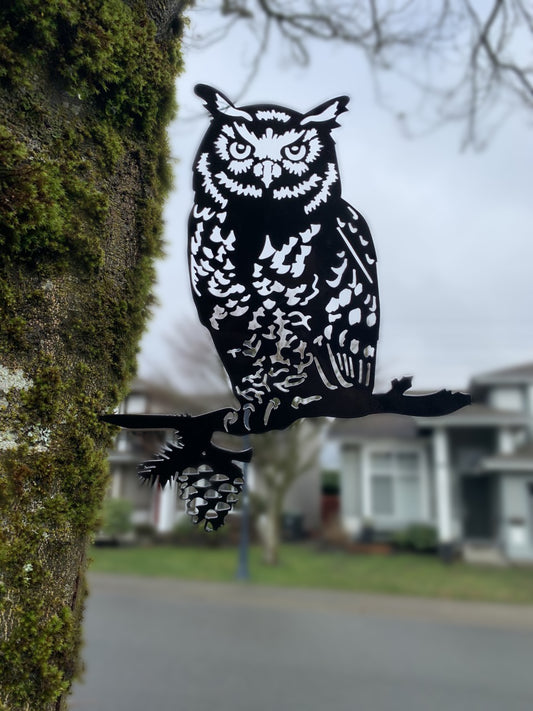 Owl